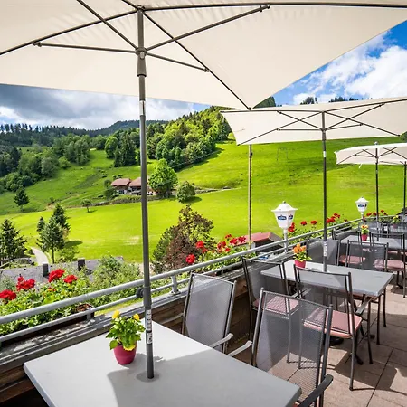 فندق Schwarzwald Wiedenerhof 4*