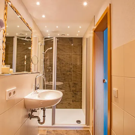 فندق Schwarzwald Wiedenerhof 4*