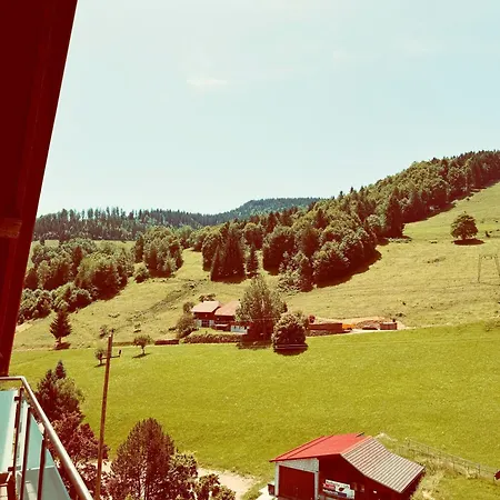 Schwarzwald Wiedenerhof Виден