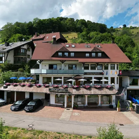 فندق Schwarzwald Wiedenerhof