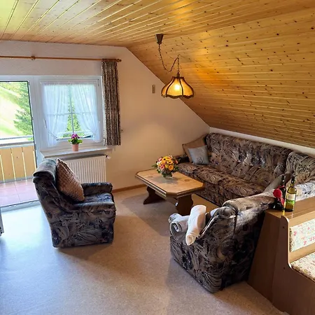 Schwarzwald Wiedenerhof Виден