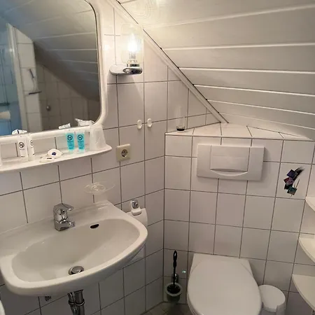 فندق Schwarzwald Wiedenerhof 4*