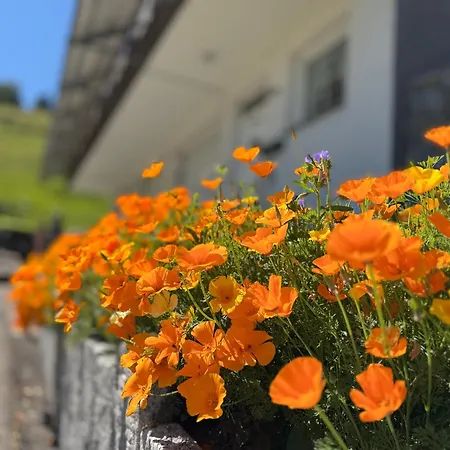 فندق Schwarzwald Wiedenerhof فيدين