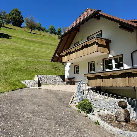 Schwarzwald Wiedenerhof فندق فيدين