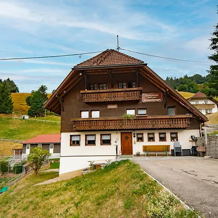 Schwarzwald Wiedenerhof فندق