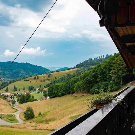 فندق Schwarzwald Wiedenerhof فيدين